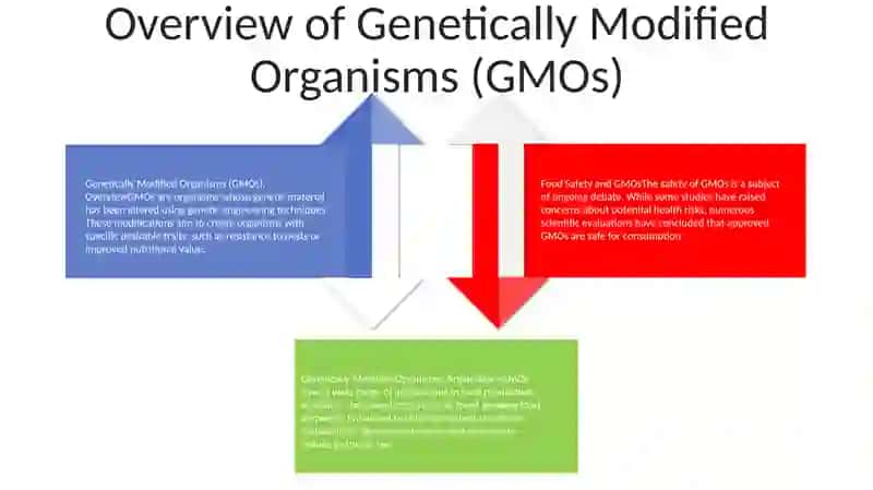 Food Safety And Genetically Modified Organisms 3