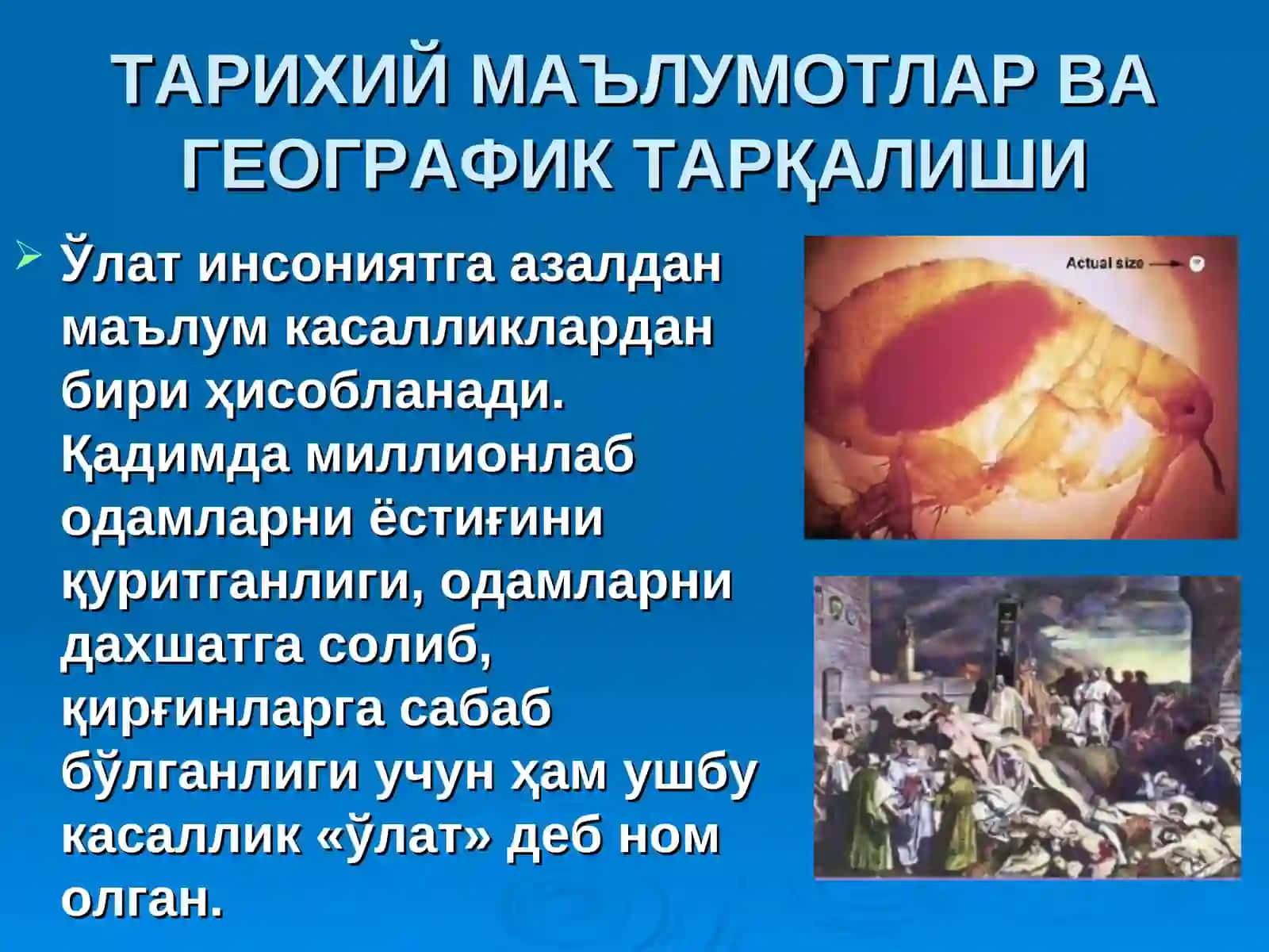 ЎЛАТ презентация врачлар учун 3