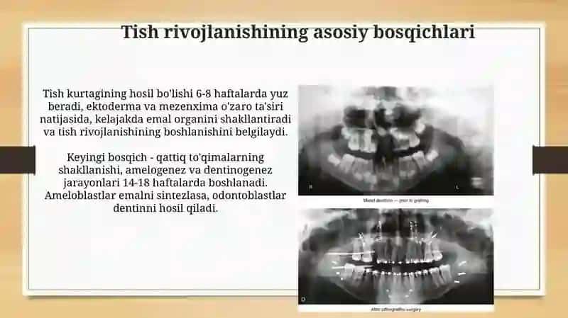 Tishlar almashuvining biokimyoviy asoslari 3