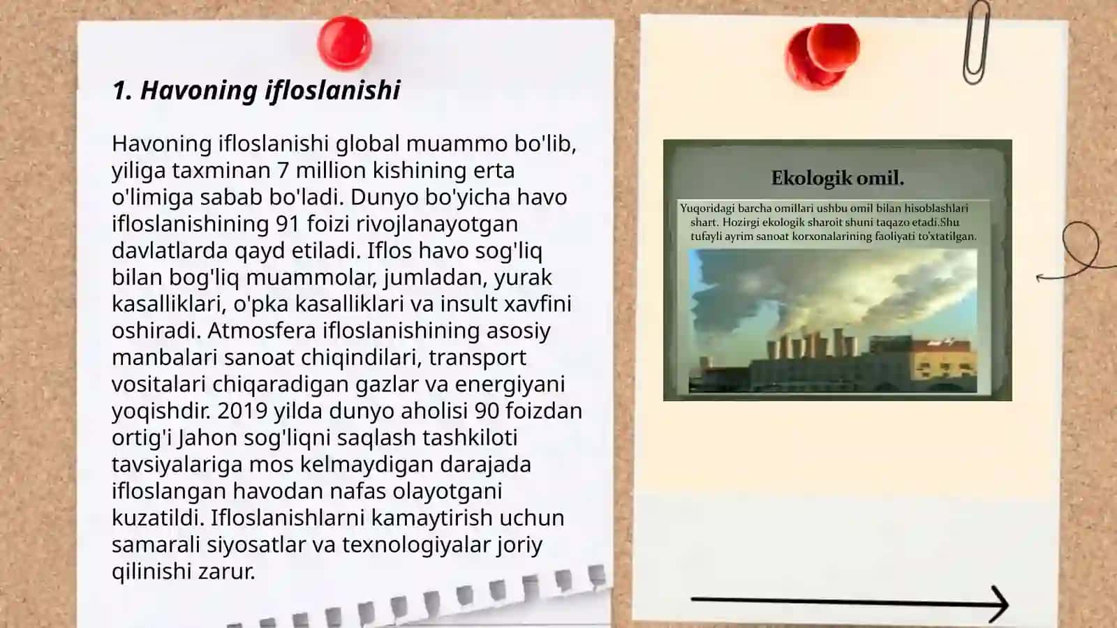 Ekologik muammolar va uning atrof-muhitga ta'siri 3