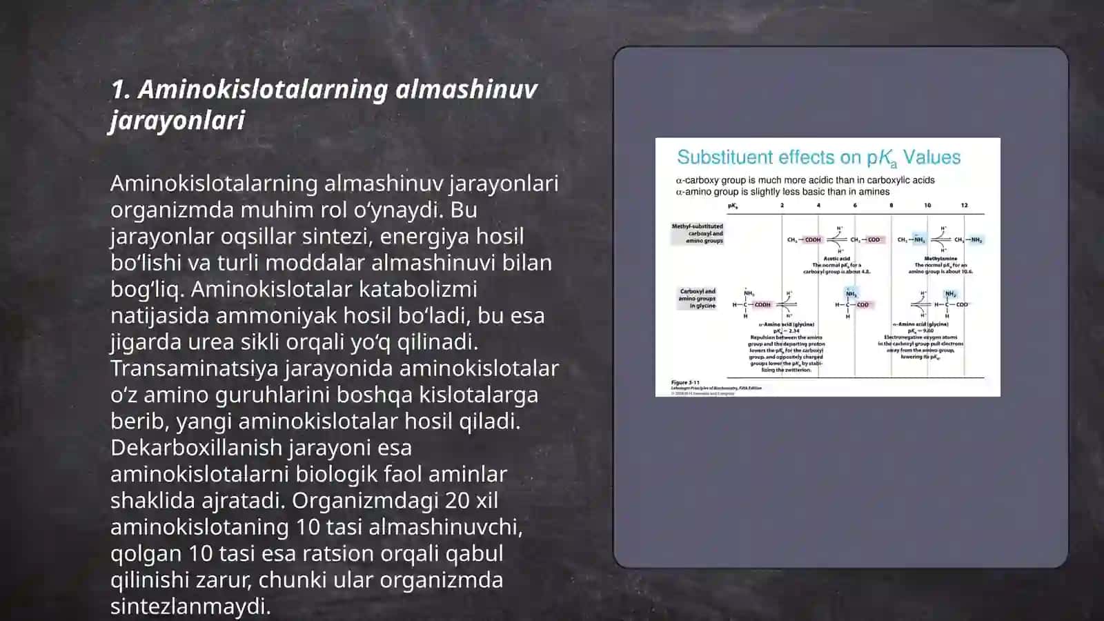 Aminokislatalar almashinuvining umumiy yòllari 3