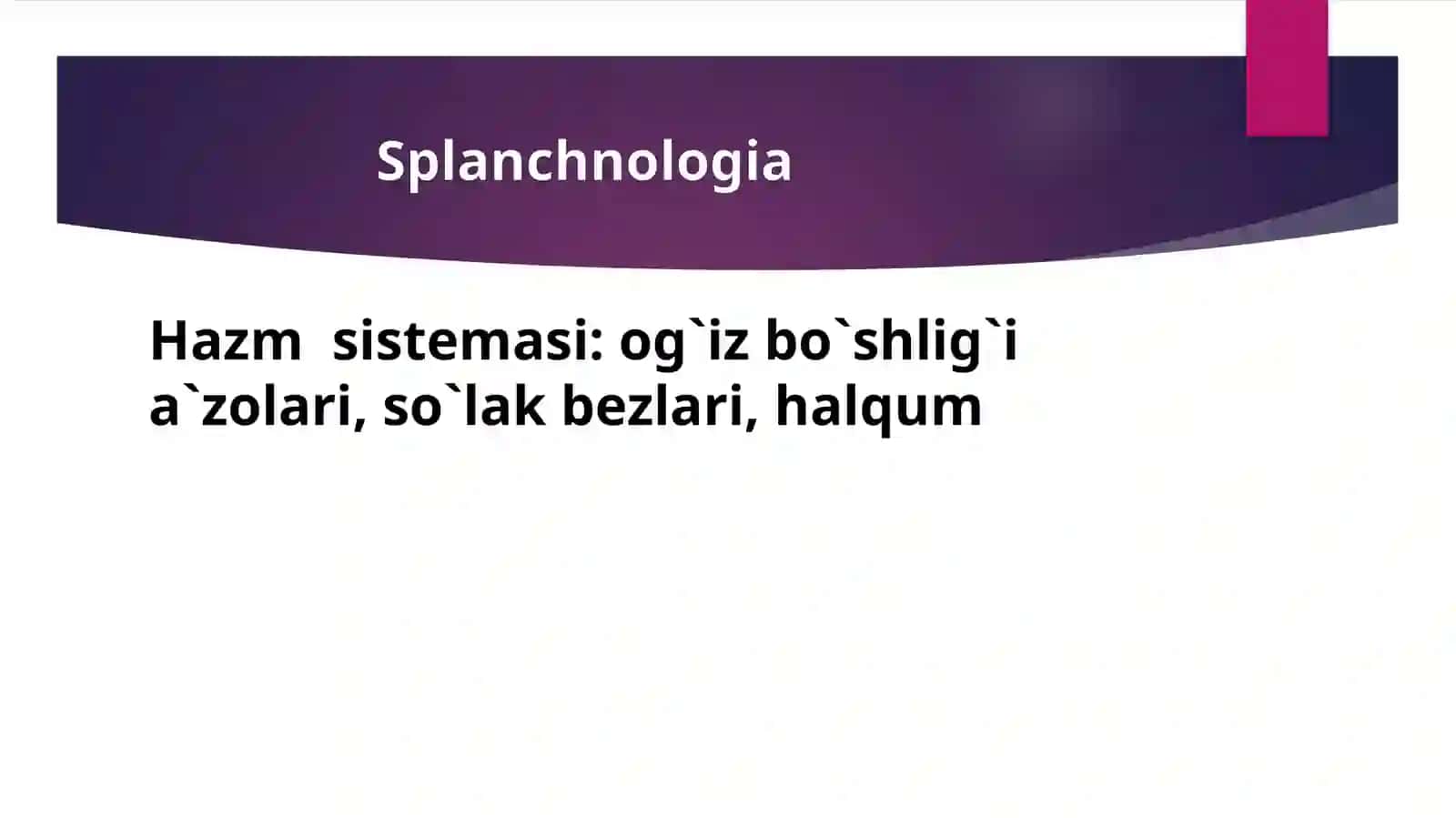 Hazim a’zolarining rentgen anatomiyasi va rivojlanish nuqsonlari 3