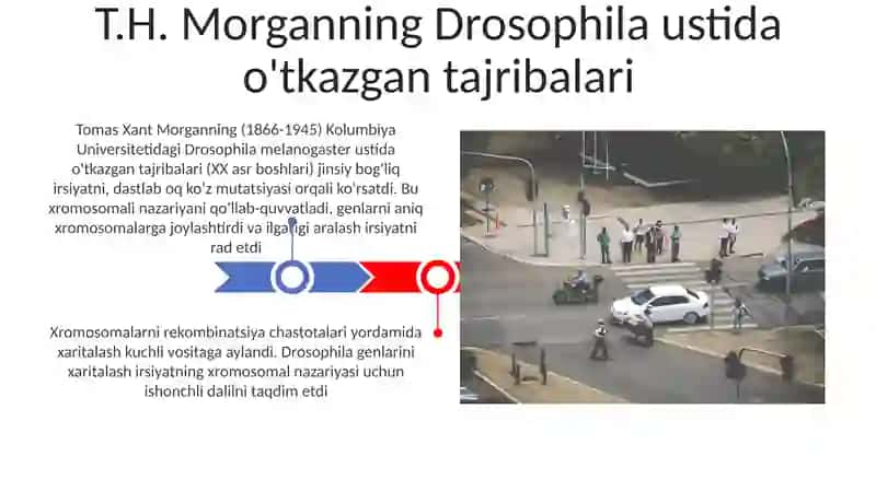 Xromosomalar Nazariyasi 3