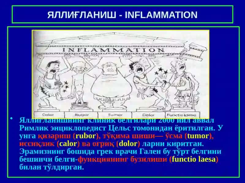 Яллиғланиш. ПАТОЛОГИК АНАТОМИЯ 3