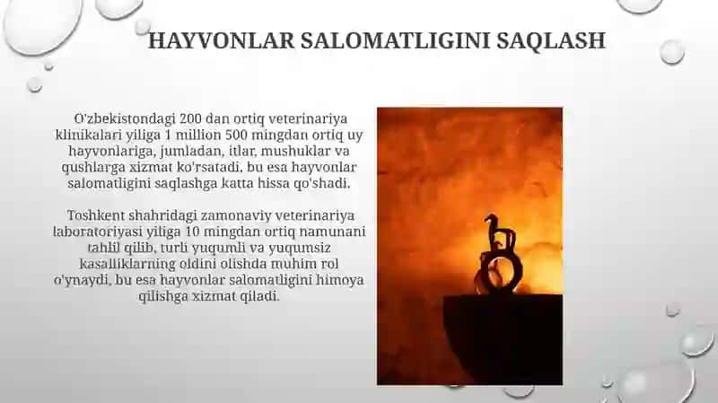 Veterinariya Kasbida Zamonaviy Yondashuvlar 3