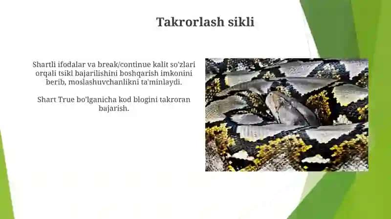 Tsikllar turlari 3