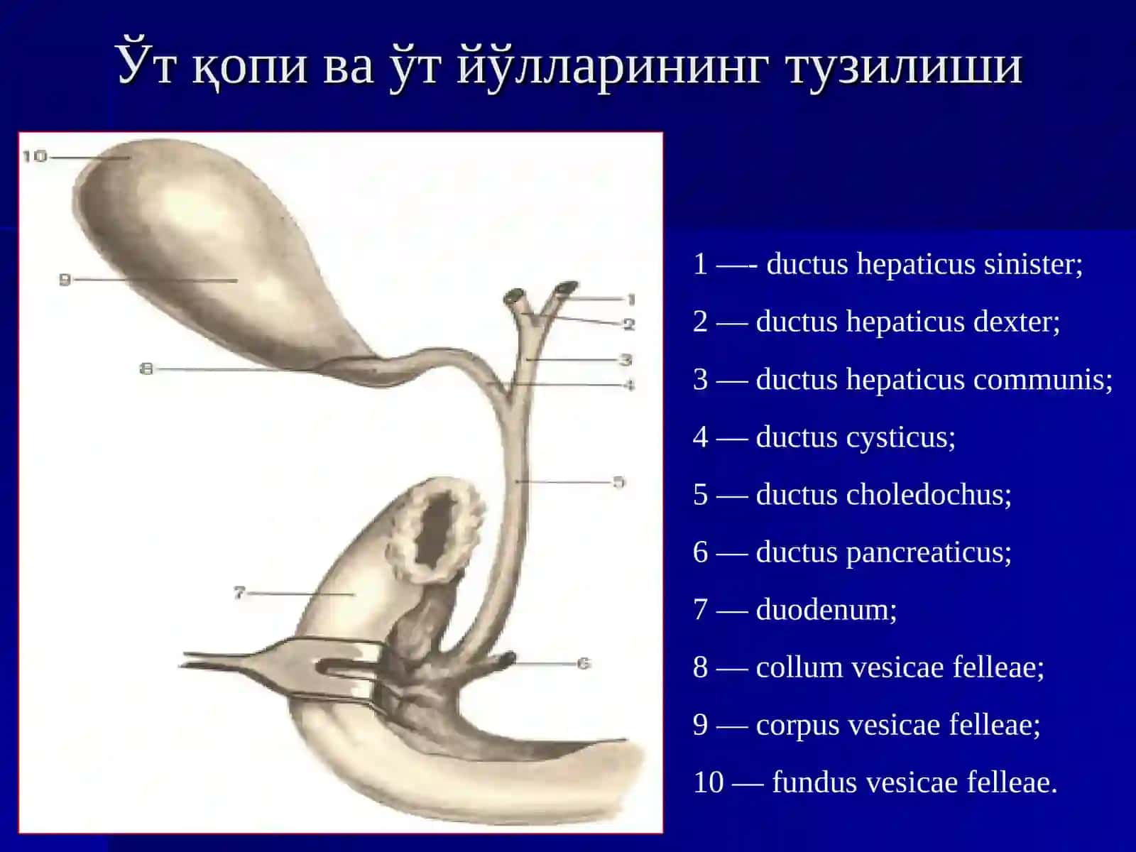 Ўткир холецистит ва унинг асоратлари 3