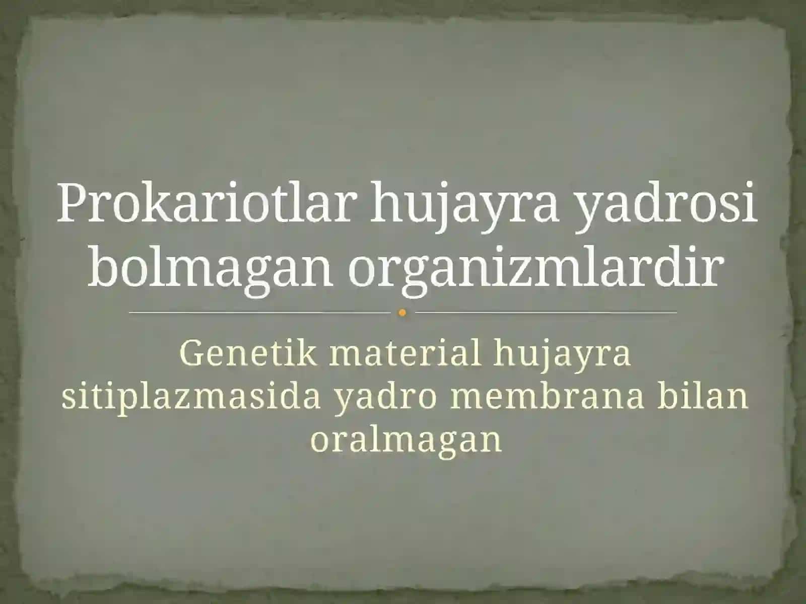 Viruslar va Hayot 3