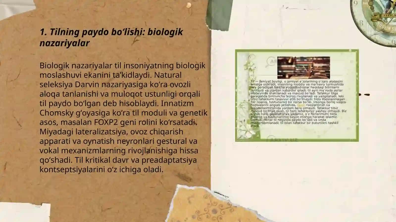 Tilning paydo boʻlishi va uning tasnifi 3