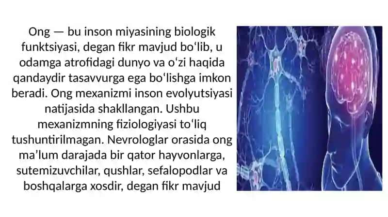 Ong tushunchasi va shakllari 3