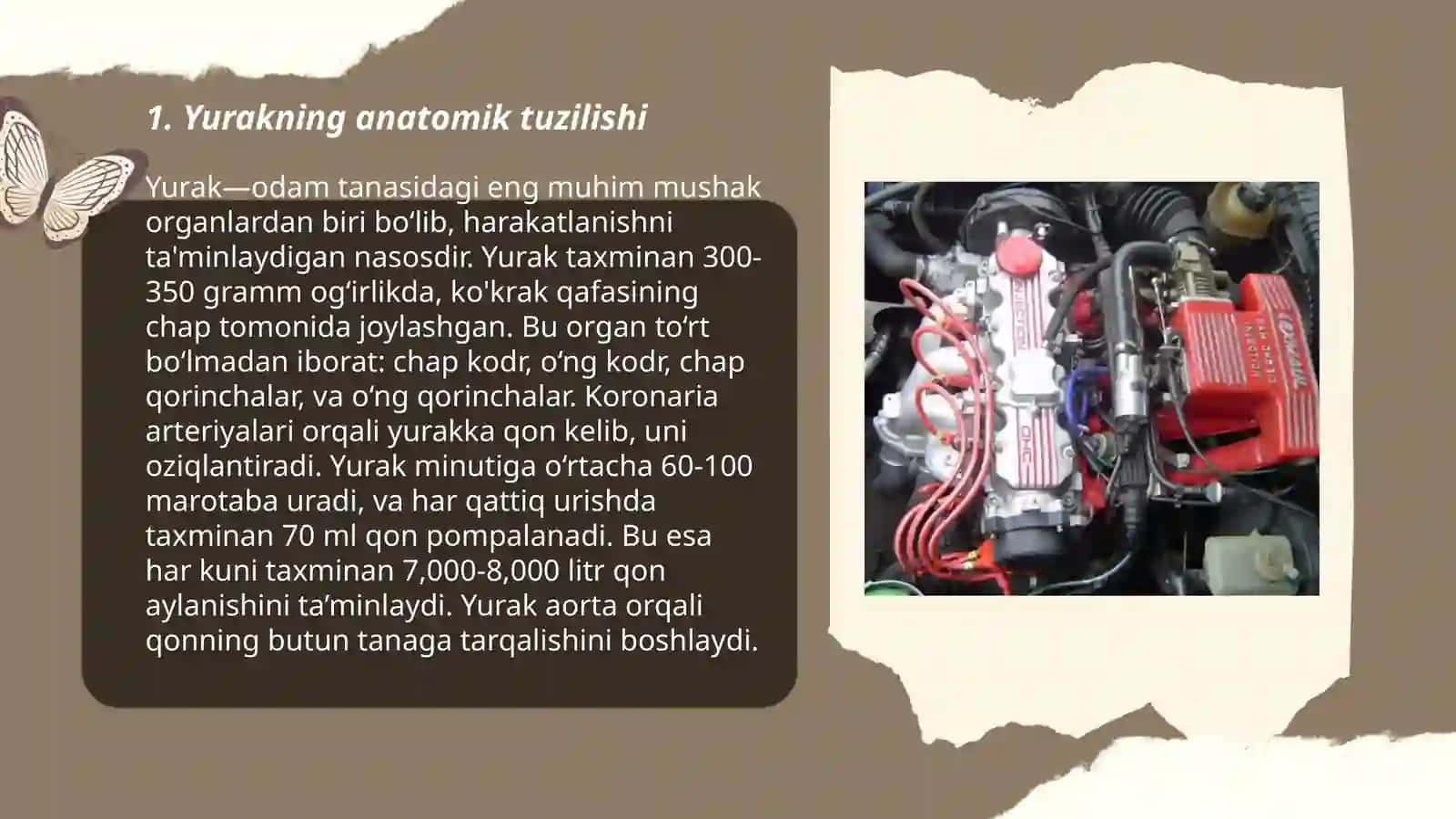 Yurakning tuzilishi 3