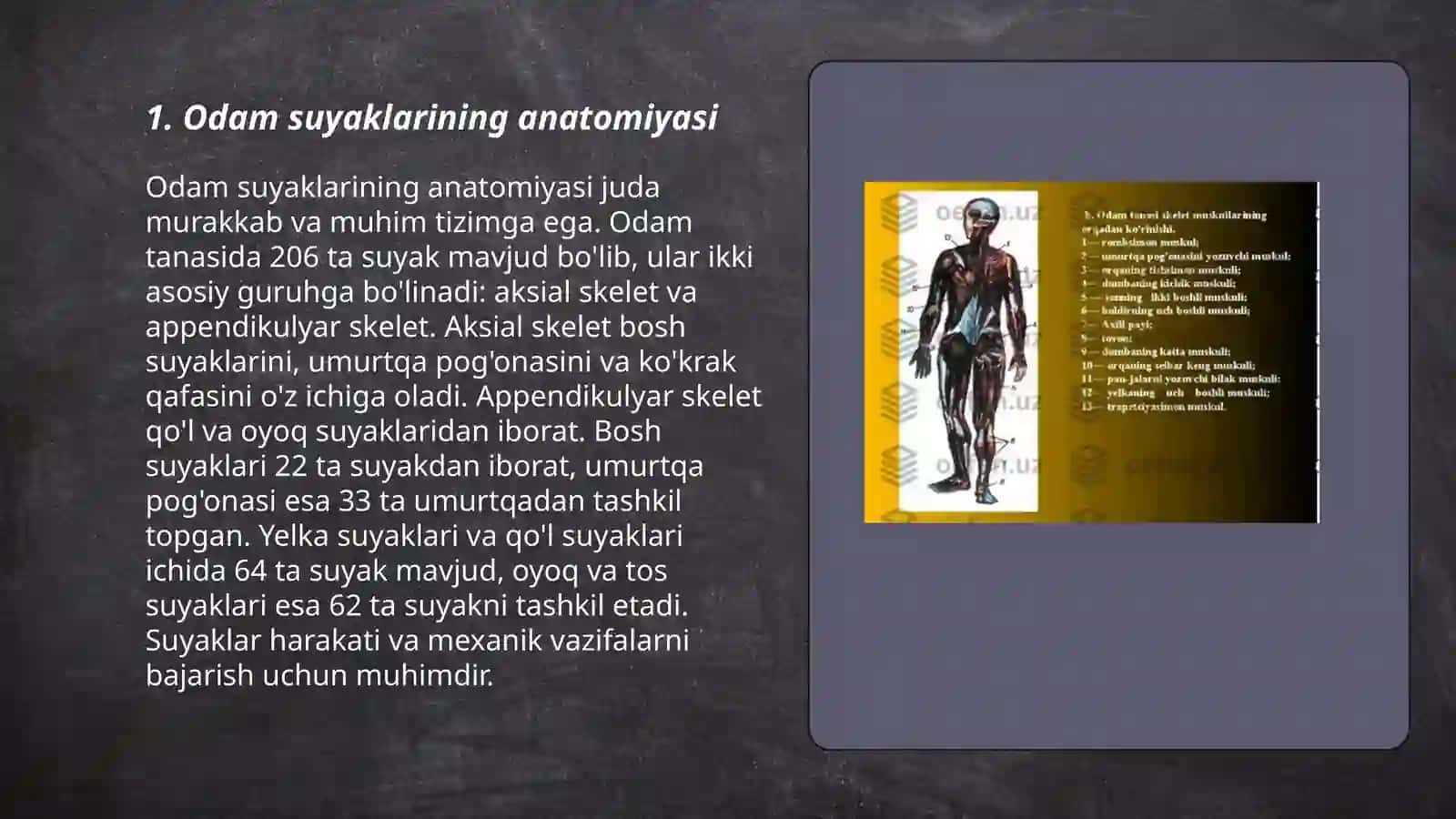 Odari suyaklarini oʻrganish 3