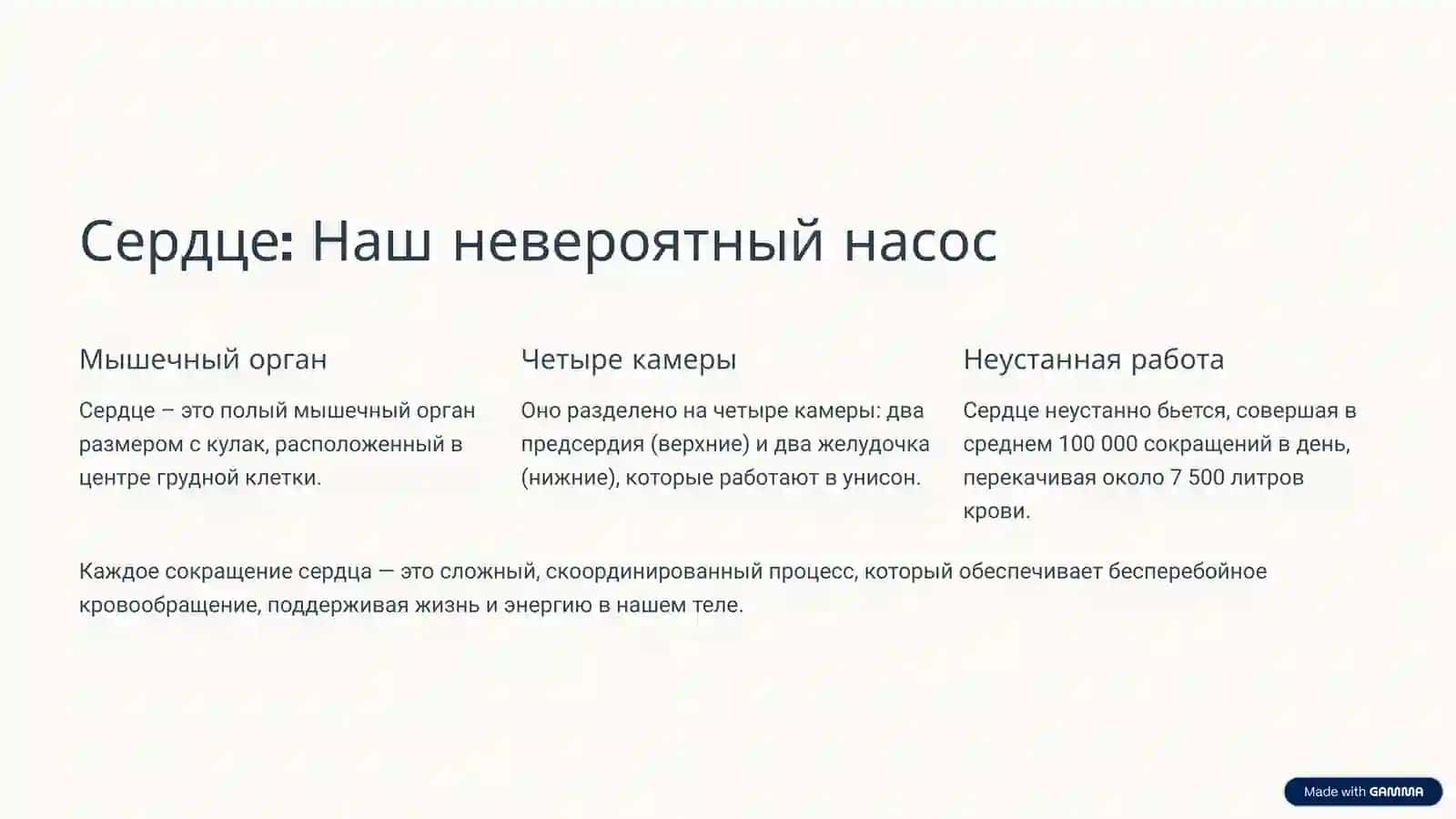 Система кровообращения: Путешествие по нашему телу 3