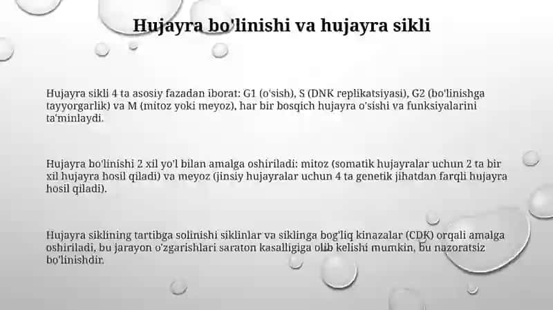 Hujayralarning bòlinishi. Mitoz. Meyoz. Amitoz 3