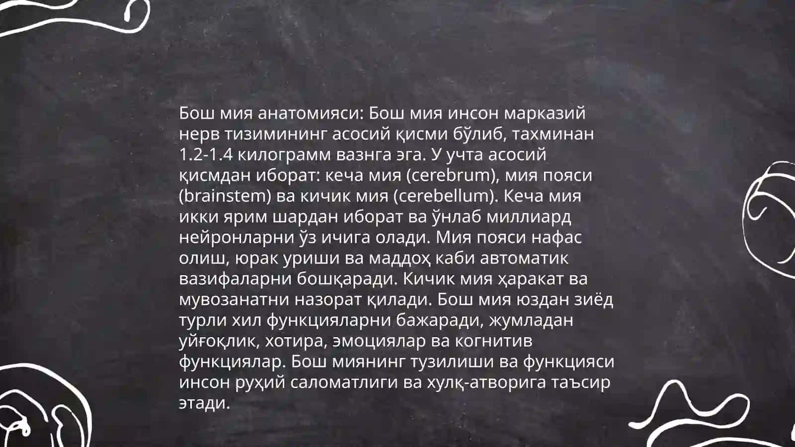 Бош мия анатомияси 3