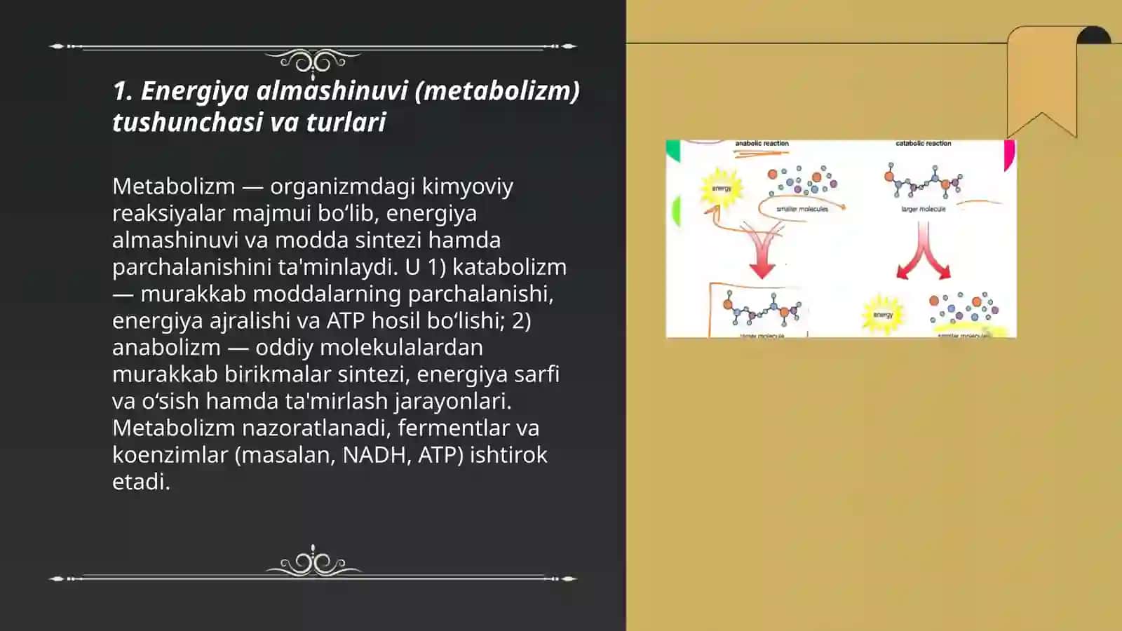 Energiya almashinuvi (metabolizm) 3