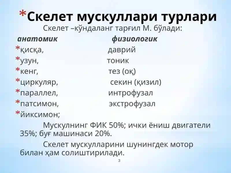 Мускулфизиологияси 3