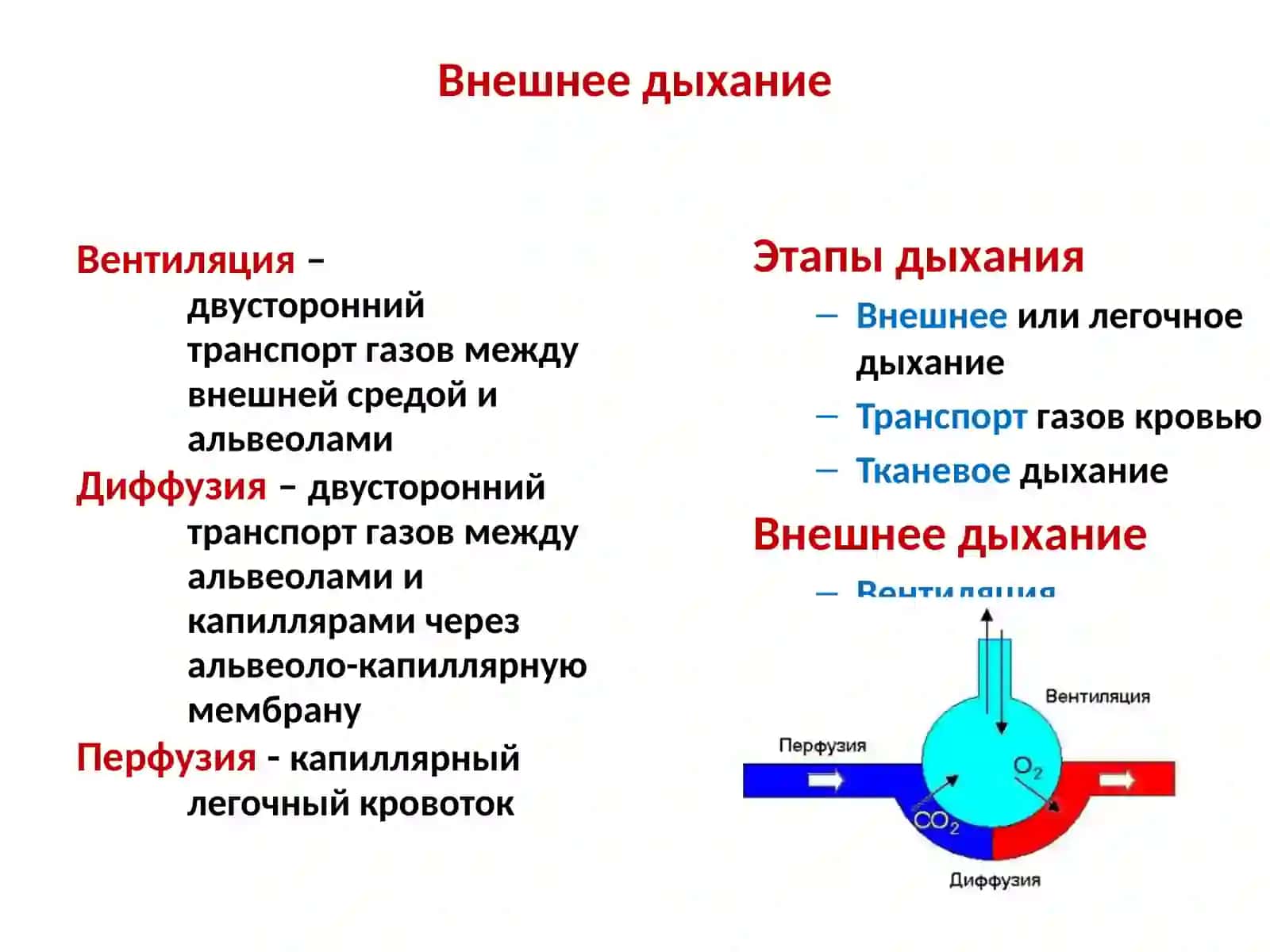 Патофизиология дыхания 3