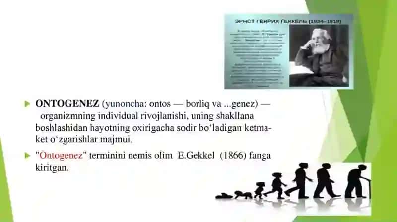 Filogenez va ontogogenez haqida tushuncha 3