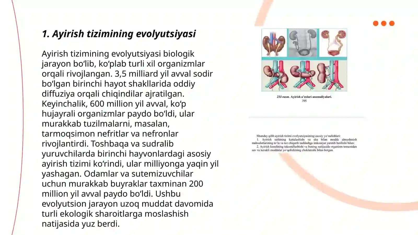 Ayirish tizimi ontofilogenizi 3
