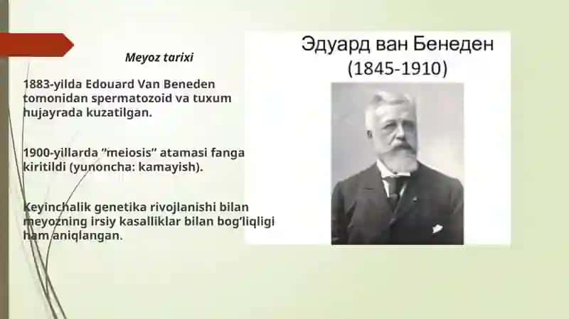 Meyoz jarayoni 3