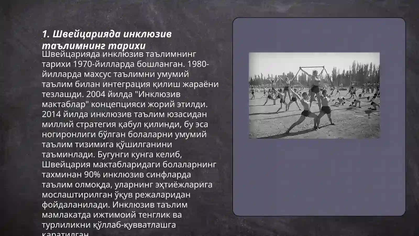 Швейцарияда инклюзив таълимнинг тарихи 3