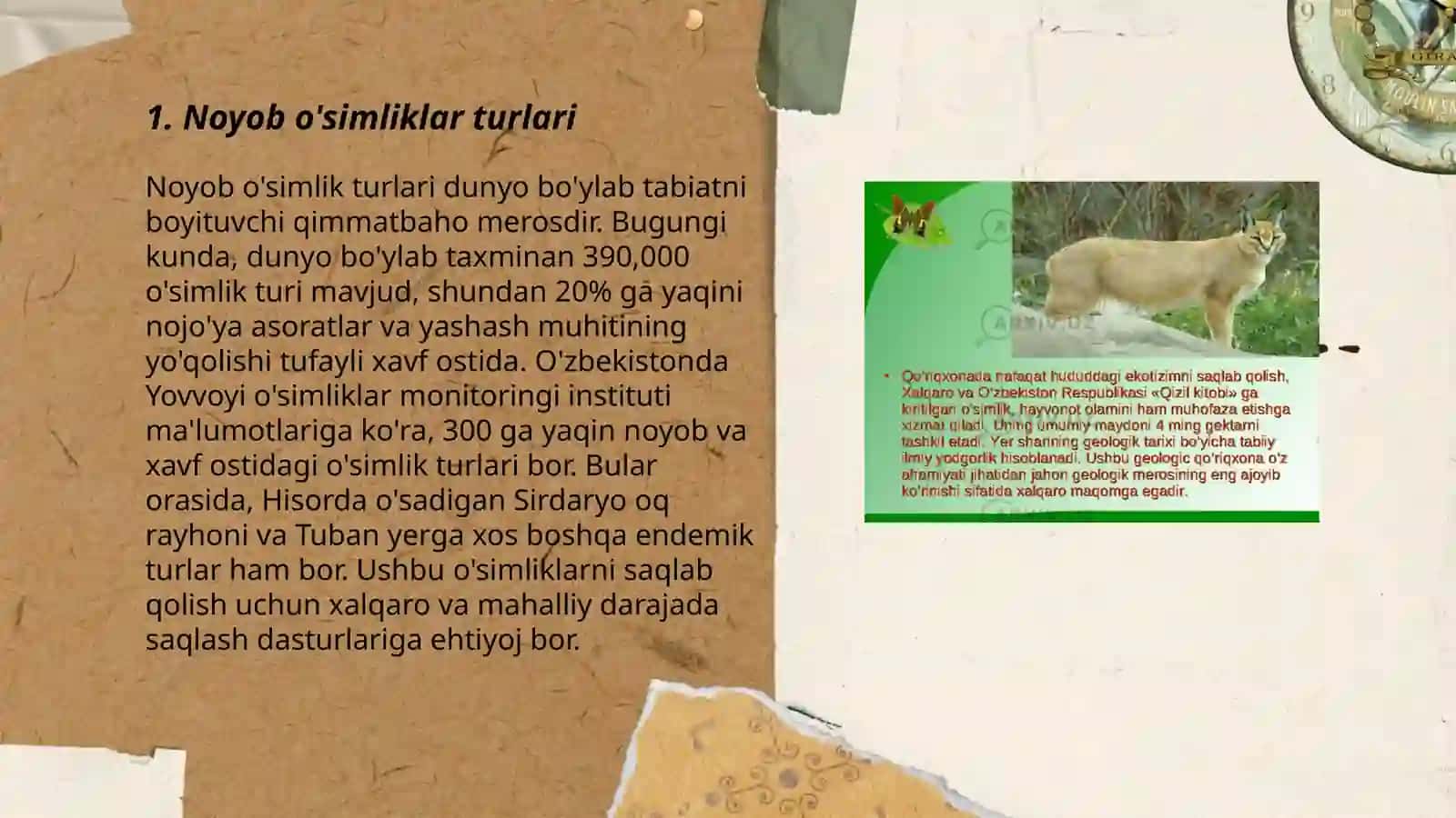 Noyob o'simliklar turlari 3