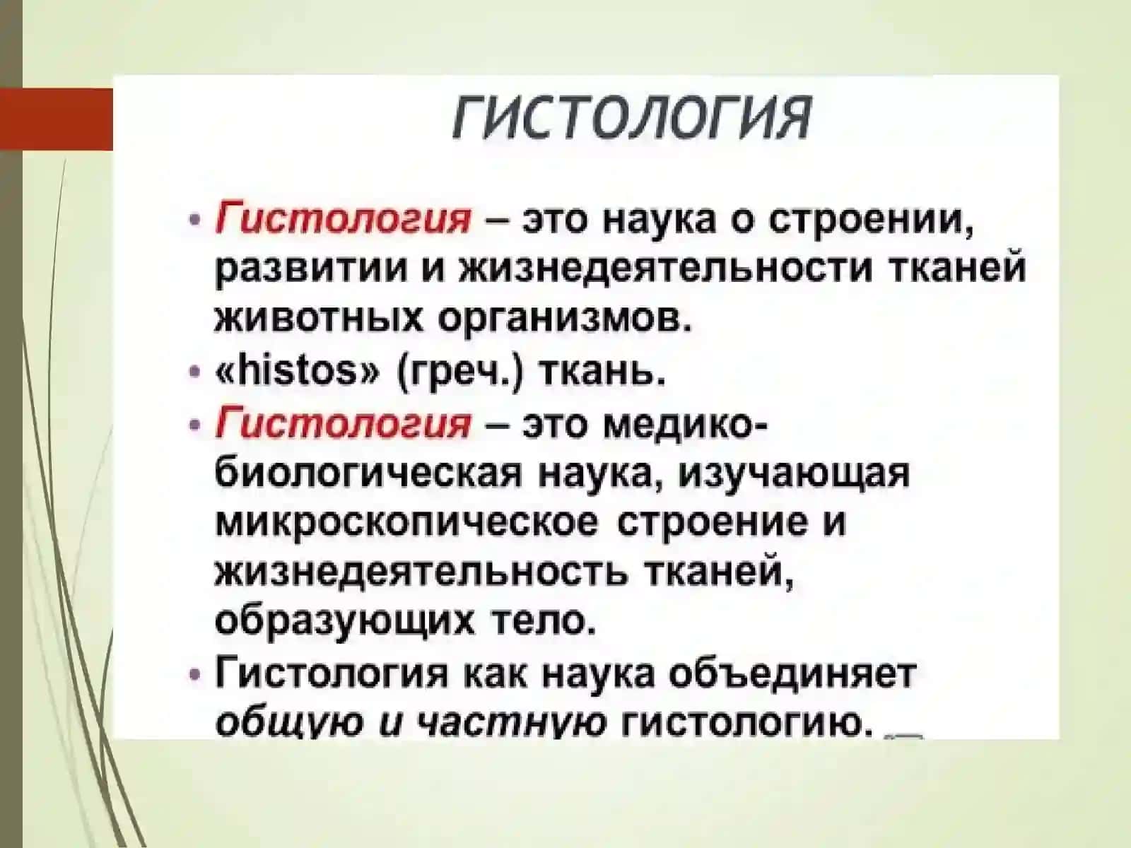 Введение в предмет ГИСТОЛОГИИ 3