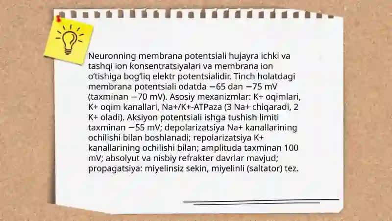 Nerv sistemasining xususiy fiziologiyasi 3