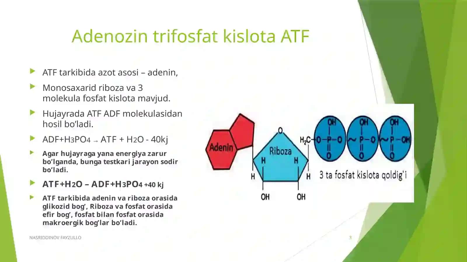 ORGANIZMDA ENERGIYA ALMASHINUVI VA ATF 3