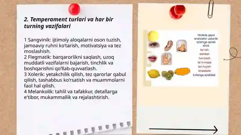 Idrok haqida tushuncha 3