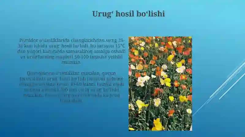 O'simliklarning gullash davri changlanish va urug'lanish xodisasi 3