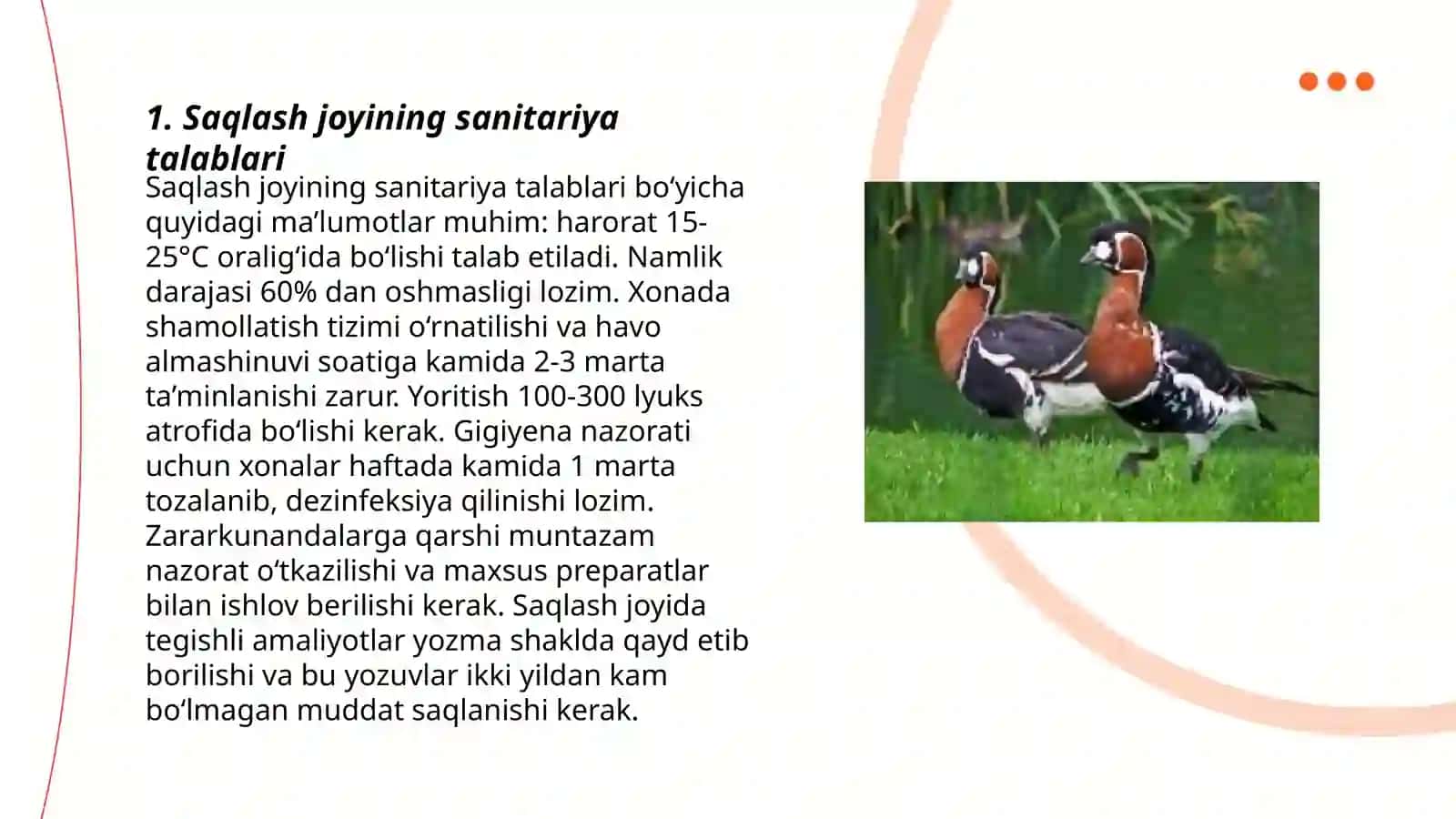 Oʻrdak,gʻoz,kurkalarni saqlash gigiyenasi 3