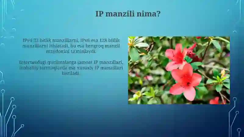 IP manzillar va ularning turi 3