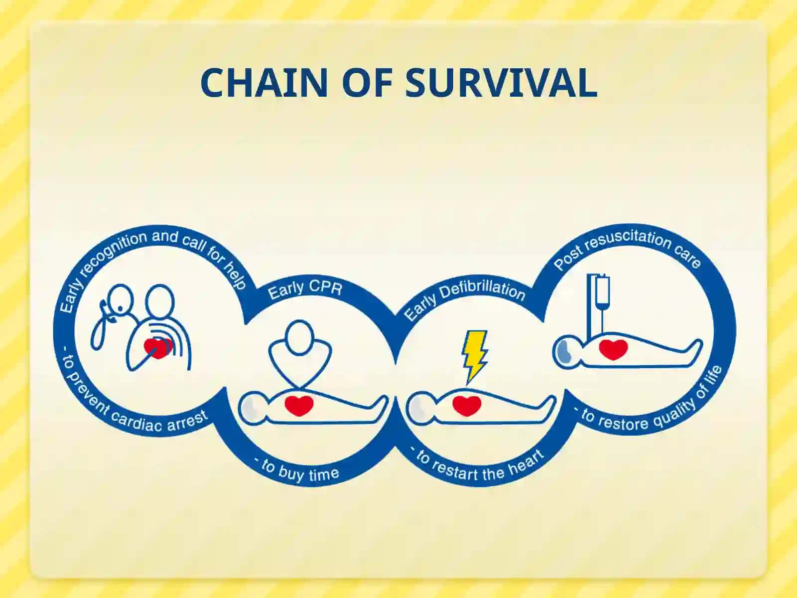BASICLIFE SUPPORT(BLS) 3