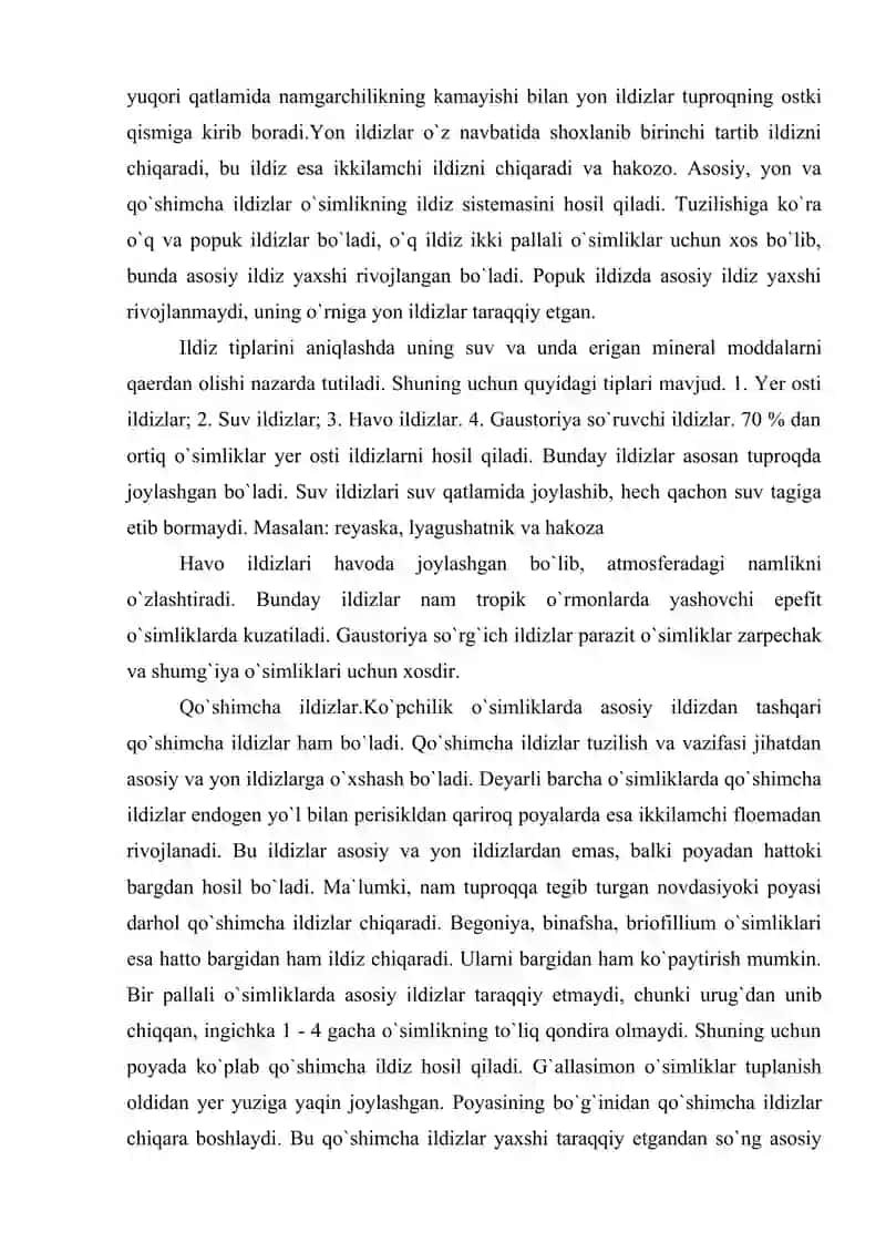Ildiz haqida umumiy ma'lumotlar 3