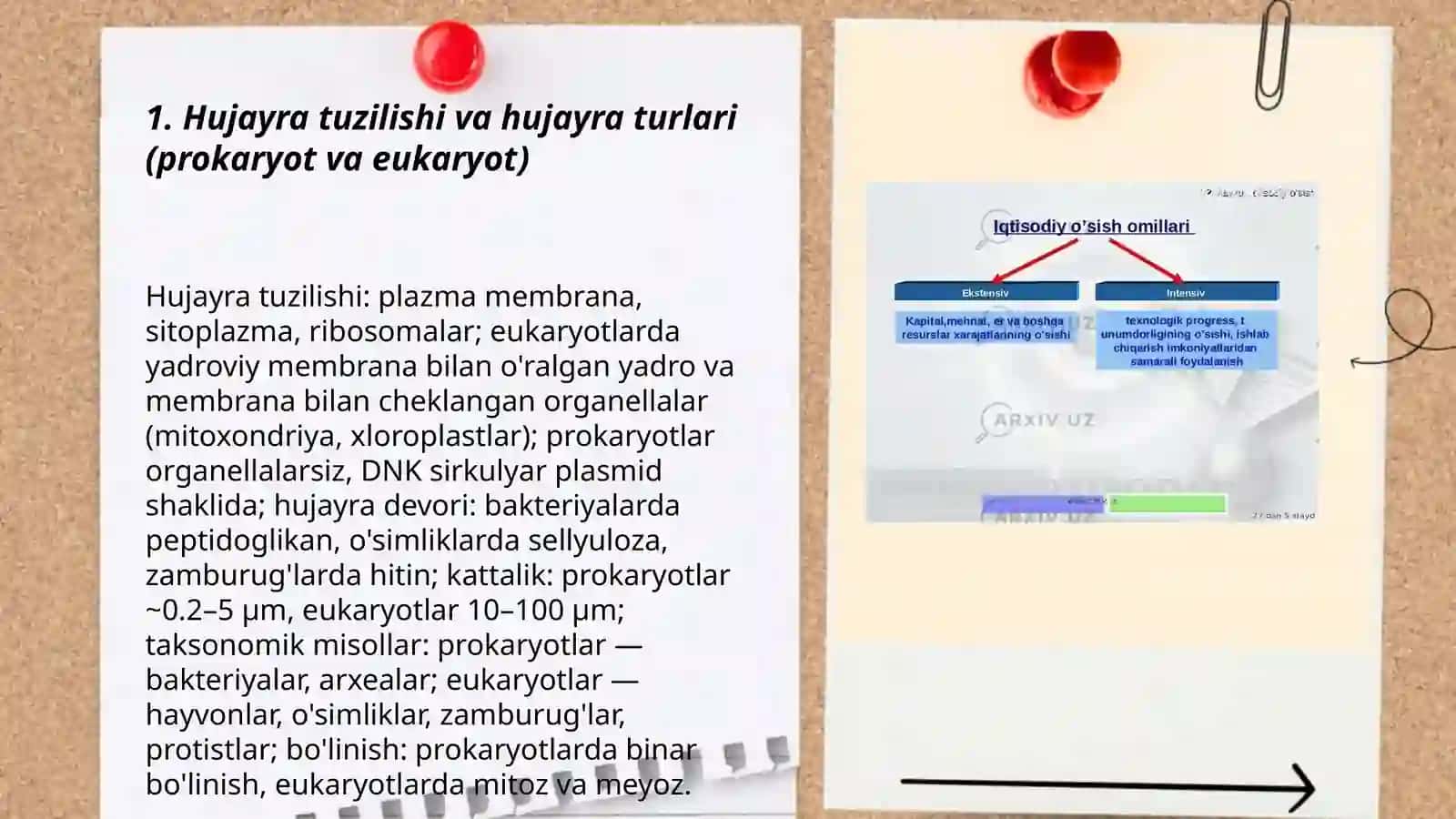 Hujayra biologiyasi 3