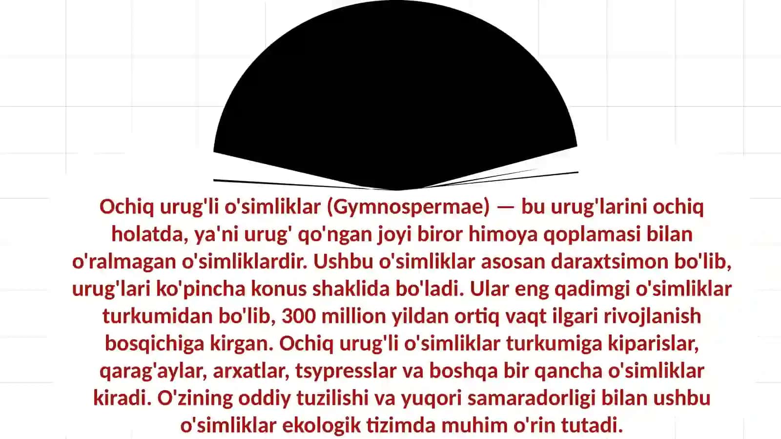 Ochiq urug'li o'simliklarning ahamiyati 3