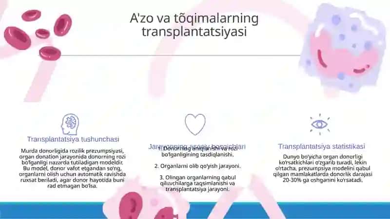 A'zo va tõqimalarning transplantatsiyasi va uning etik jihatlari 3