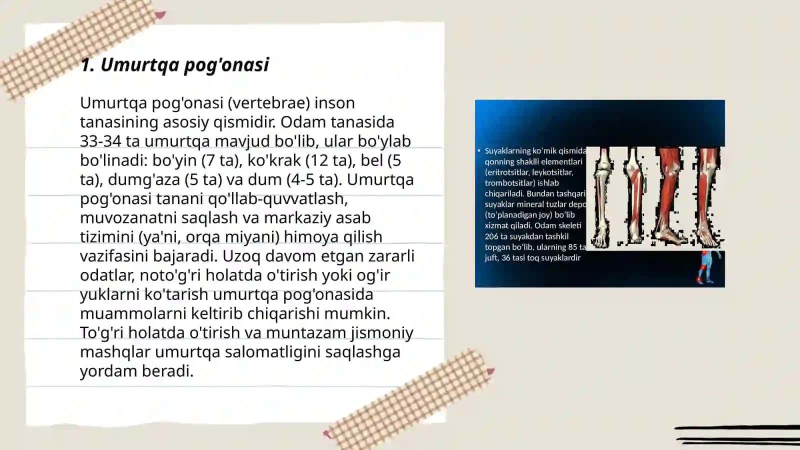Odam tanasining anatomik tuzilishi haqida maʼlumot 3