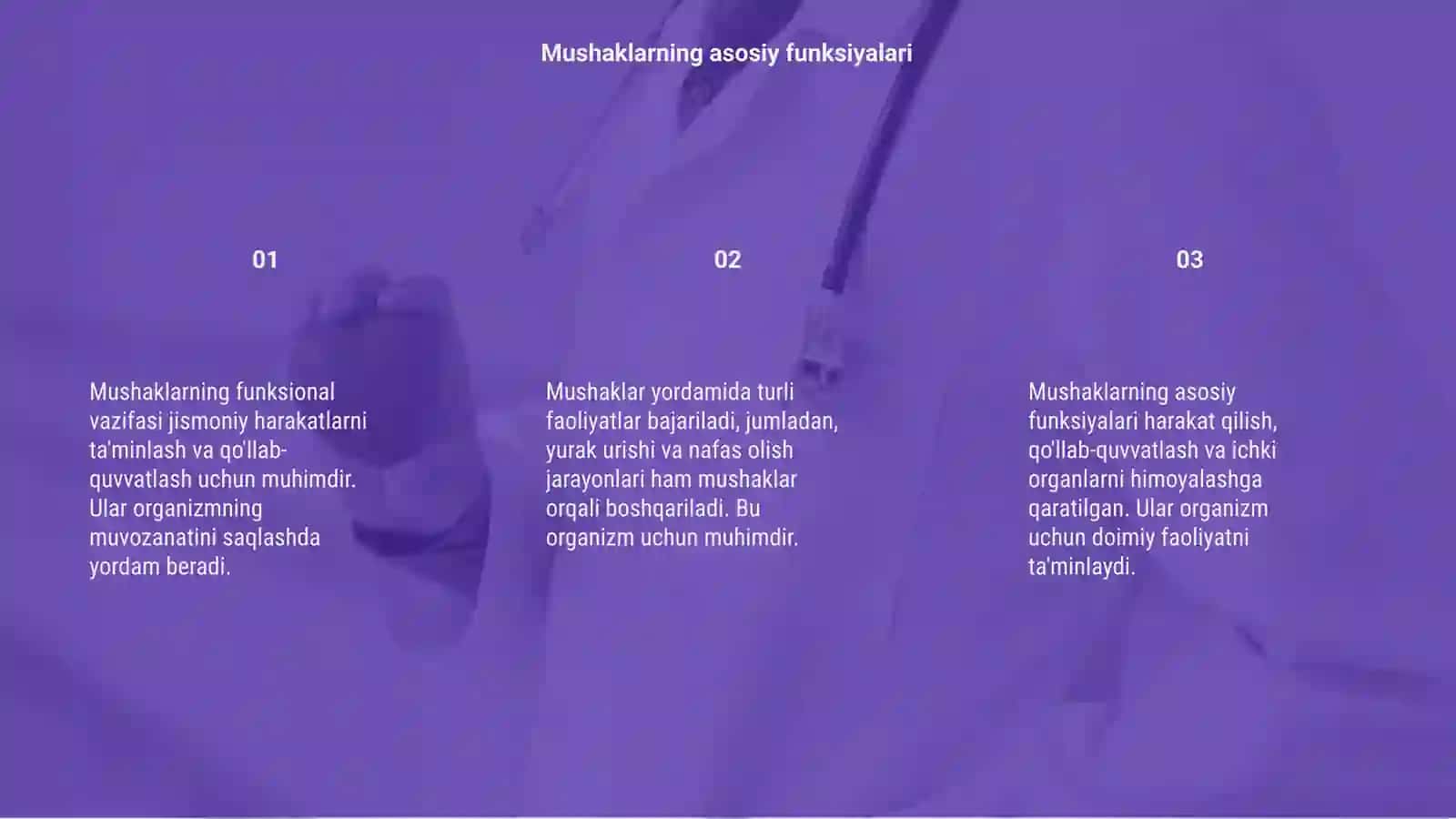 Mushaklarning funksional vazifasini o'rganish 3