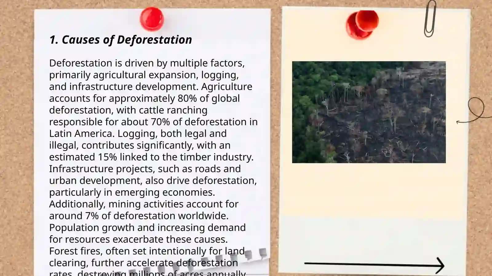 Deforestation 3