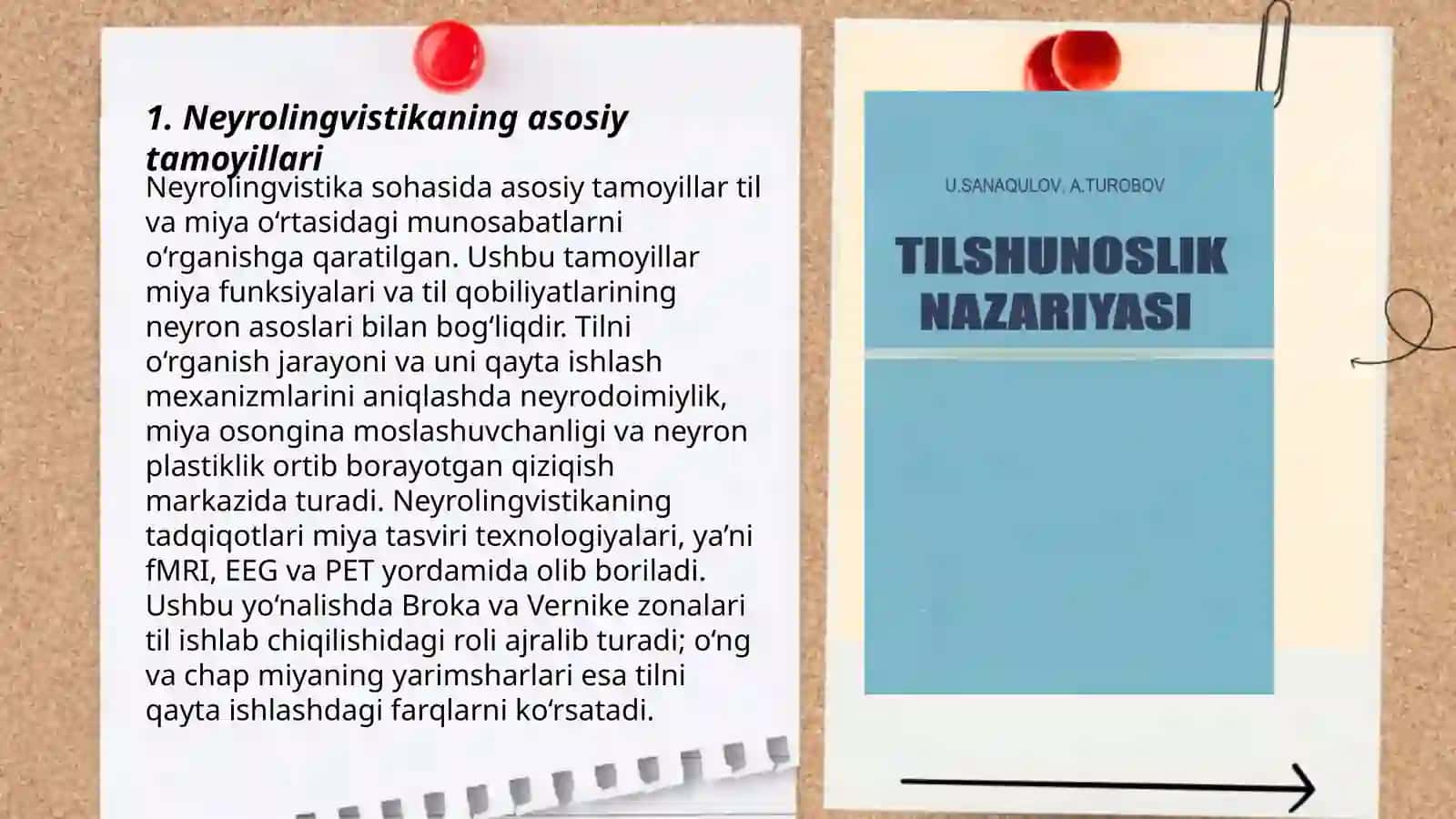 Neyrolingvistika va Tilshunoslik 3
