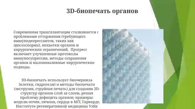 Развитие трансплантации на современном етапе 3