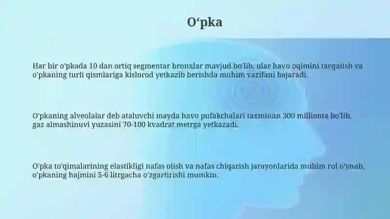 Nafas olish sisetmasi 3