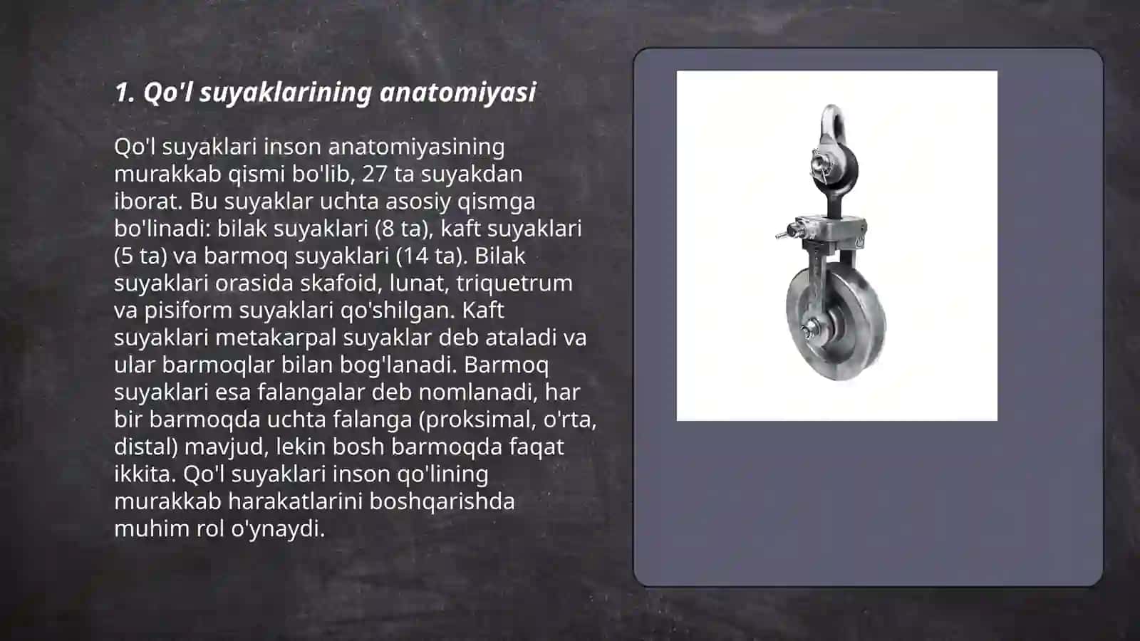 Qo'l suyaklarining anatomiyasi 3