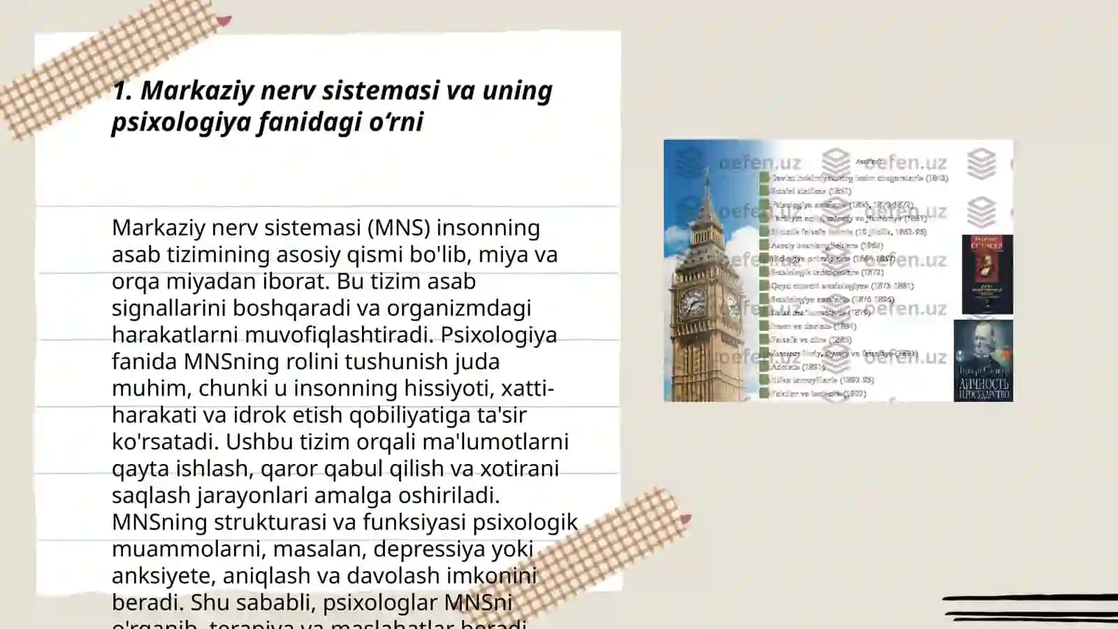 Markaziy Nerv Sistemasi 3