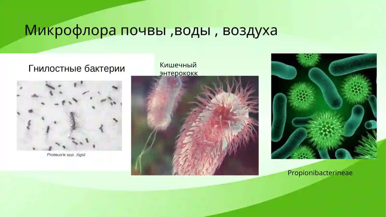Стерилизация, дезинфекция 3