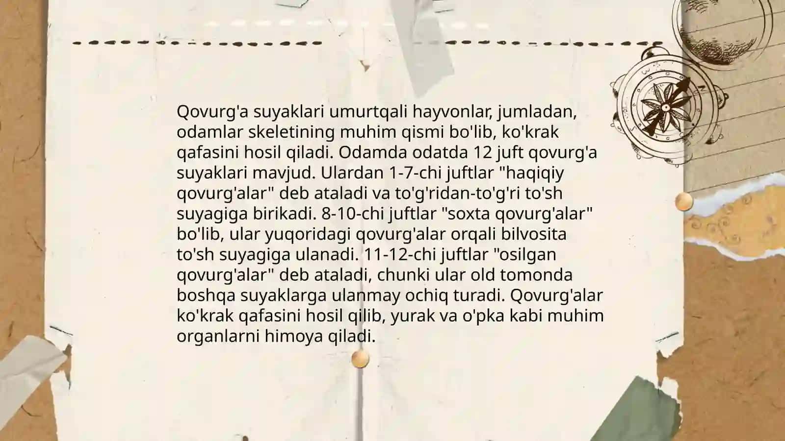 Qovurg'a va to'sh suyagi 3