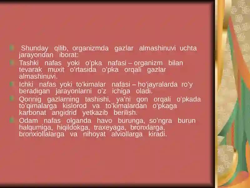 Nafas fiziologiyasi 3